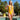 One-Piece Monokini Swimsuit. Plunging Front. Thong Back. Nylon Lycra. We call this our V-Front Monokini. 014